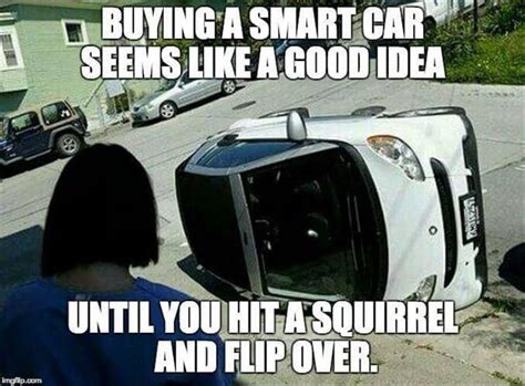 Buying A Smart Car Seems Like A Good Idea Until You Hit A Squirrel And