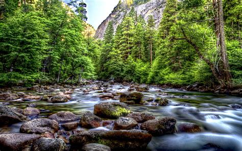 Hd Wallpaper Beautiful Mountainous River Riverbed With Rocks Pine