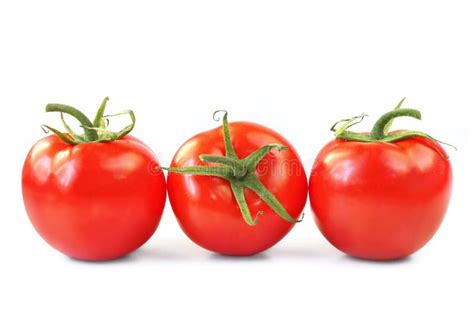 Tres Tomates Imagen De Archivo Imagen De Fondo Blanco 6714303