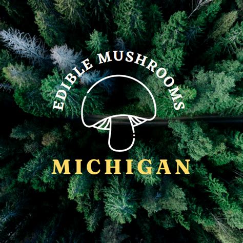Edible Mushrooms In Michigan Foragers Guide