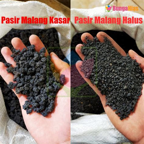 Sand, shoal, desert, hourglass, rice flour, small intestine, smooth indonesian. Pasir Malang Halus dan Kasar Kemasan 1 Kg | Shopee Indonesia