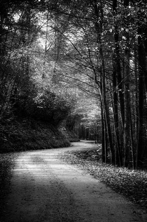 Mountain Back Road In Black And White Photograph By Greg Mimbs