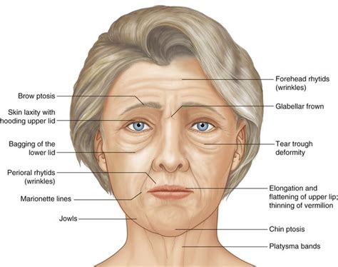 The 5 Rs Of Facial Rejuvenation Dr Denise Hyland