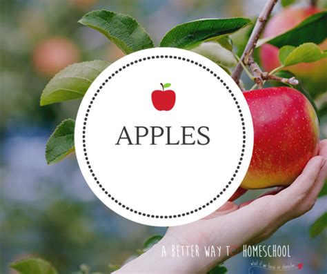 Recipe For A Tasty Apple Unit A Better Way To Homeschool