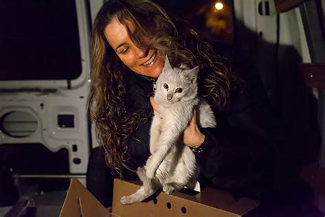 Miracle Kitten Survives Ride Under Car Hood In Freezing Temperatures Cats Stray Cat Strut