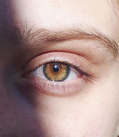 Amber Eyes Artofit