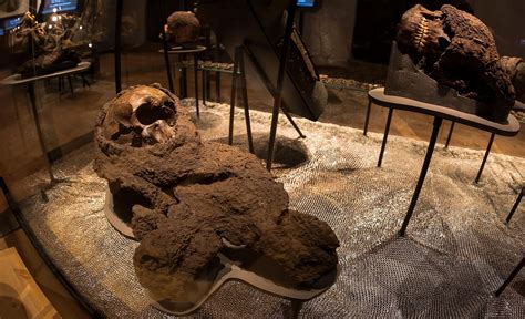 Europen Riveted Mail Coifs And Hauerk From A Mass Grave Battle Of Visby Fought In July 1361