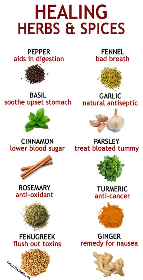 10 Healing Herbs And Spices Little Shine