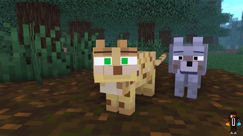 Ocelot And Wolf Life V Minecraft Animation Youtube