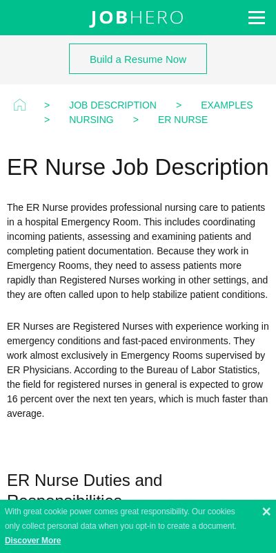 Emergency Room Nurse Job Description 20 Guides And Examples