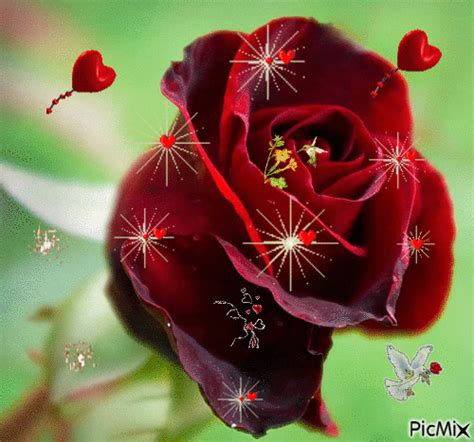 Animated  Flowers Rose