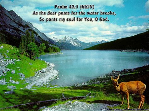 Daily Bible Verses Psalm 421