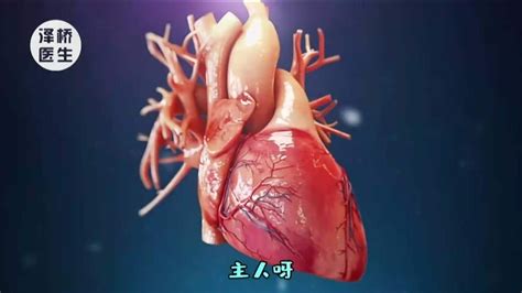 心脏的自述：一颗心脏是如何开展工作的？心脏想跟你说说心里话腾讯视频