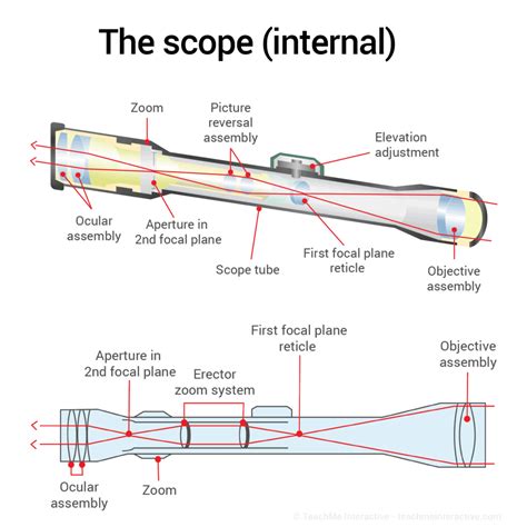 Everything You Should Know About Scope Internal Anatomy