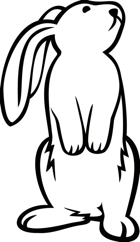 Bunny Outline Drawing Free Download On Clipartmag