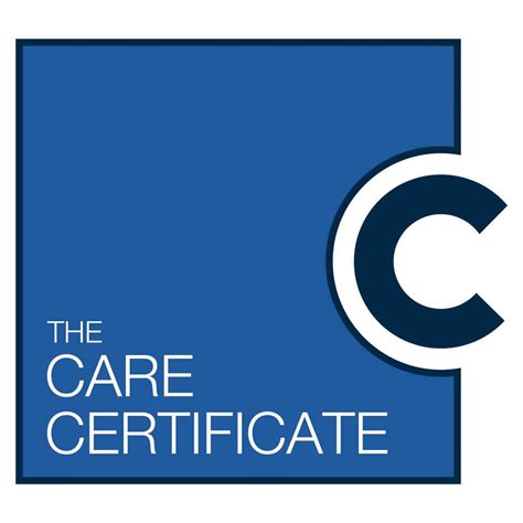 The Care Certificate All 15 Standard Answers