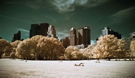 Central Park New York Infrared Photography Photography Photo
