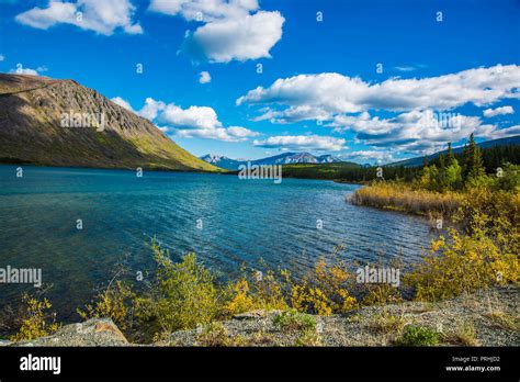 The Great White North Stock Photo Alamy