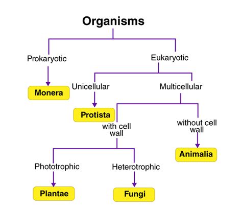 Lakhmir Singh Biology Class 9 Solutions For Chapter 4 Diversity In