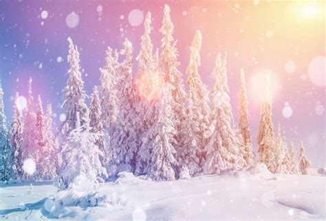 Laeacco Beautiful Winter Snowscape Backdrop Vinyl 10x8ft