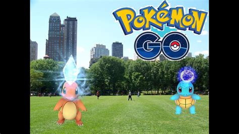 Only took two great balls. Pokemon Hunting - Central park, New York (Pokemon Go ...