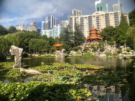 Chinese Garden Of Friendship Sydney 2019 All You Need To Know