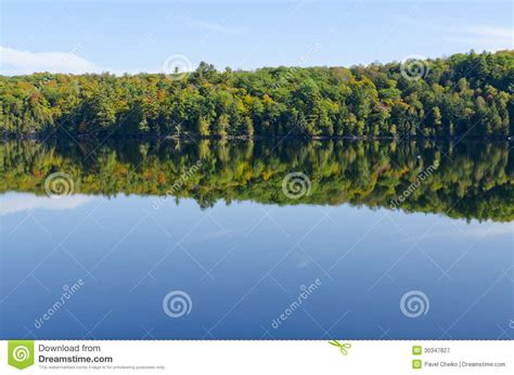 Reflection Of Colorful Forest Stock Image Image Of River Orange