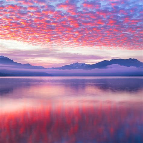 Pink Clouds Wallpaper 4k Reflection Lake Body Of Water