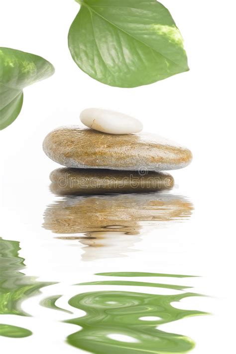 Zen Stones With Green Leaves Stock Photo Image Of Bathroom Green