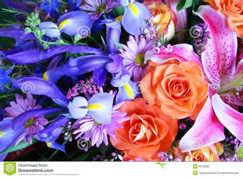 Vibrant Bouquet Of Flowers Stock Photo Image Of