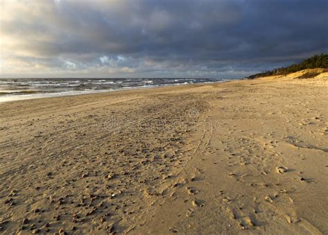 Beautiful Sunset On The Sandy Beach And Dunes Of The Baltic Sea In