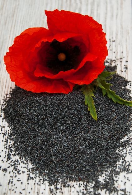 Premium Photo Poppy Seeds And Flowers