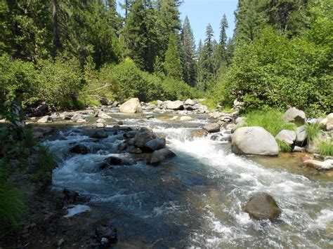 Mill Creek Near Mt Lassen Calif What A Great Place To Fish Great