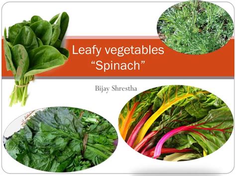 Leafy Vegetables Spinach Ppt