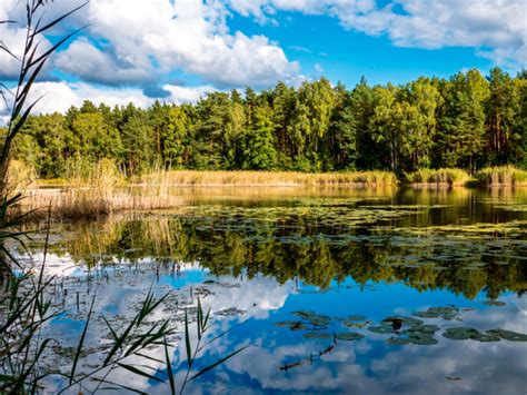 Five Amazing Lake Hikes Around Brandenburg Hiking Collection By Komoot