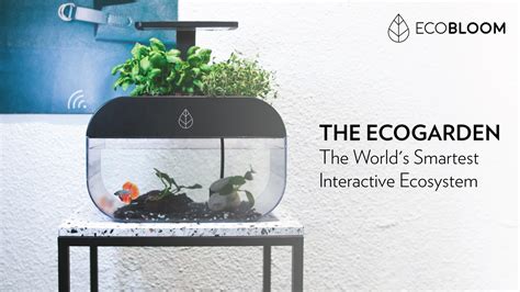 Ecogarden The Worlds Smartest Interactive Ecosystem By Ecobloom