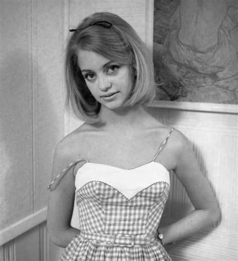 20 Pictures Of Young Goldie Hawn Goldie Hawn Young Goldie Hawn Celebrities