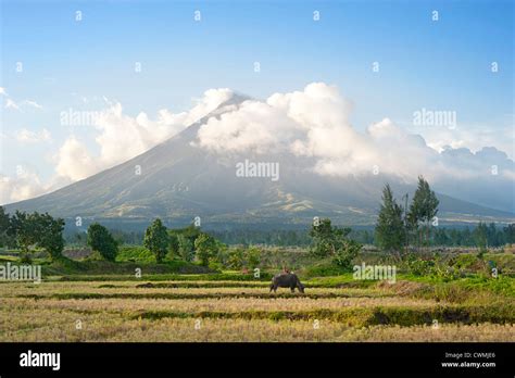 The Mayon Volcano Active Volcano Rising 2462 Metres Known As The