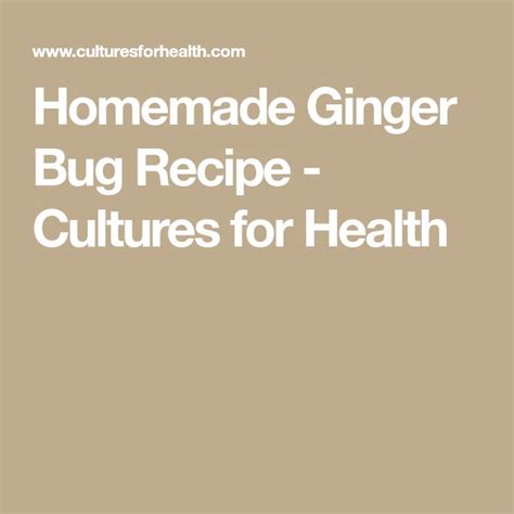 Homemade Ginger Bug Recipe Cultures For Health Ginger Bug