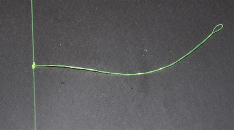 Tying The Twisted Dropper Loop