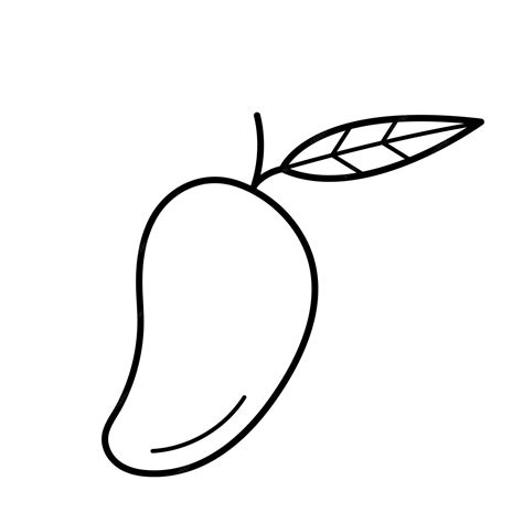 Premium Vector Mango Hand Drawn Sketch Of Tropic Fruit In Doodle