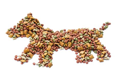 4d animals meaning dead, diseased, dying or disabled animals. How is Dry Kibble Made?