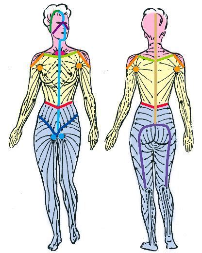 Manual Lymphatic Drainage Massage Therapy Connections