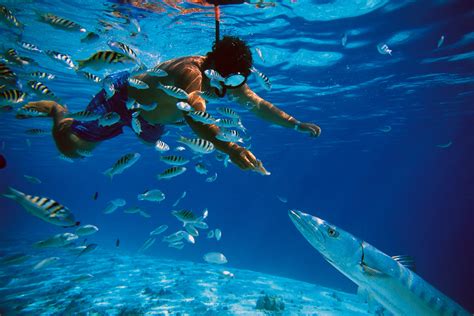Nassau Snorkeling An Exclusive Private Water Adventure