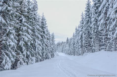Ski Trails Through A Winter Scene Engens Photography Blog