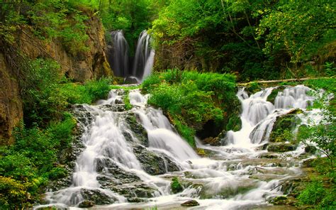Small Forest River With Beautiful Waterfalls Coast Green