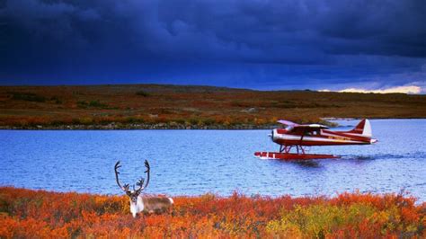 Float Planes Caribou Rivers Wallpaper 1920x1080 325276 Wallpaperup