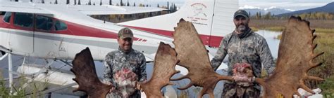 Hunters can kill a trophy moose on these hunts for a fraction of price compared to a trophy alaska moose hunt. DIY Moose Hunting - AirVentures in Anchorage, Alaska