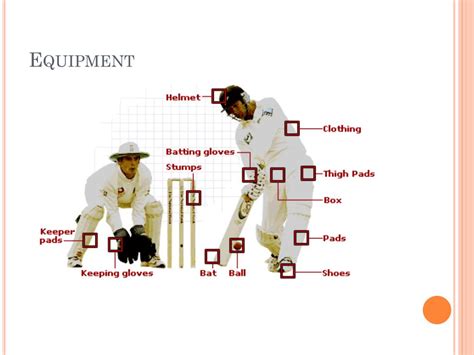 Ppt Cricket The Basics Powerpoint Presentation Free Download Id