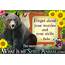 Bear Quotes & Sayings  Animal